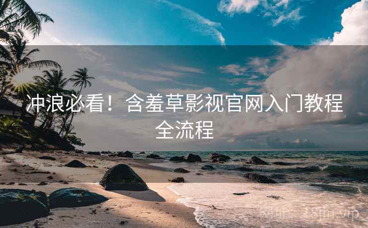 冲浪必看！含羞草影视官网入门教程全流程